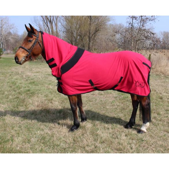 POLAR HORSE STABLE BLANKET - WITH HOODIE
