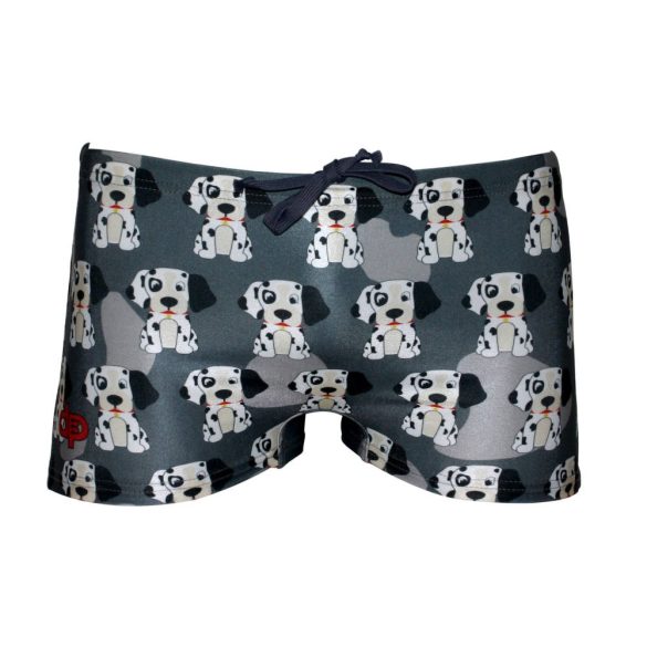 Jungen Mini Boxer-Dalmata