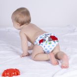 Swim diaper - ladybird