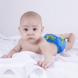 Swim diaper - animals