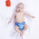Swim diaper - whale 2