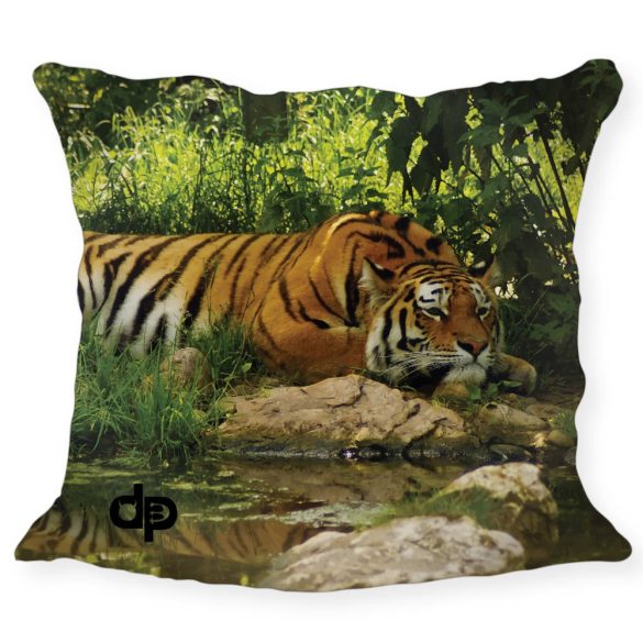 Pillowcase - Tiger - 2